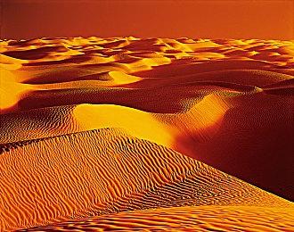 女扮男装恋爱游戏《JACK JEANNE》追加中文字幕